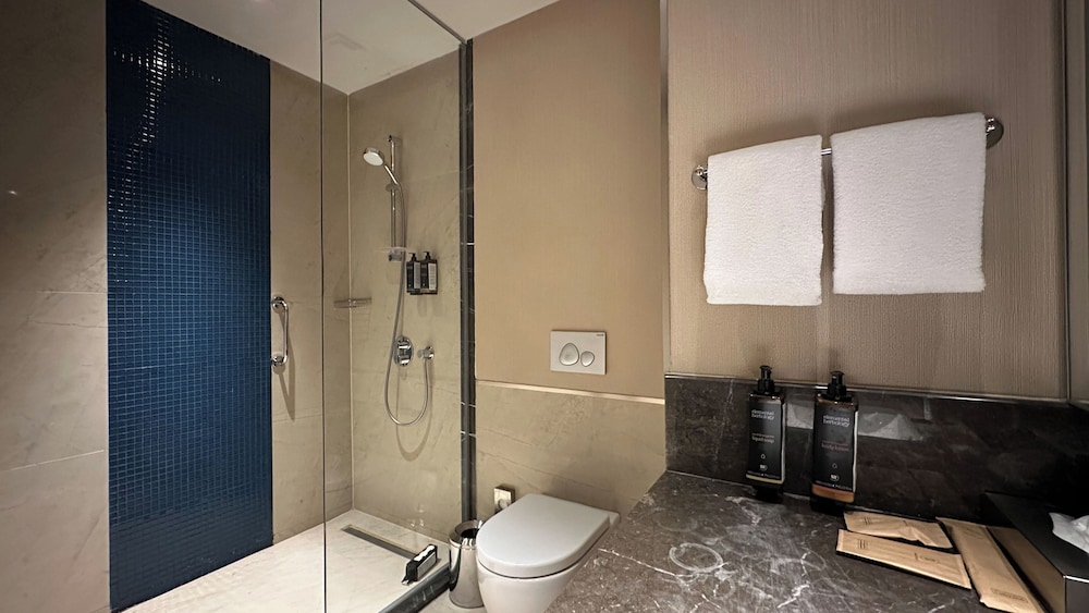 Habitación Deluxe con 1 cama doble con balcón del hotel Tbilisi Philharmonic By Mercure. Foto 16