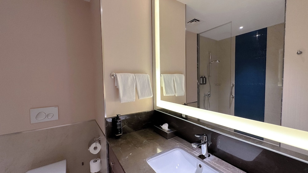 Habitación clásica con 2 camas individuales del hotel Tbilisi Philharmonic By Mercure. Foto 15