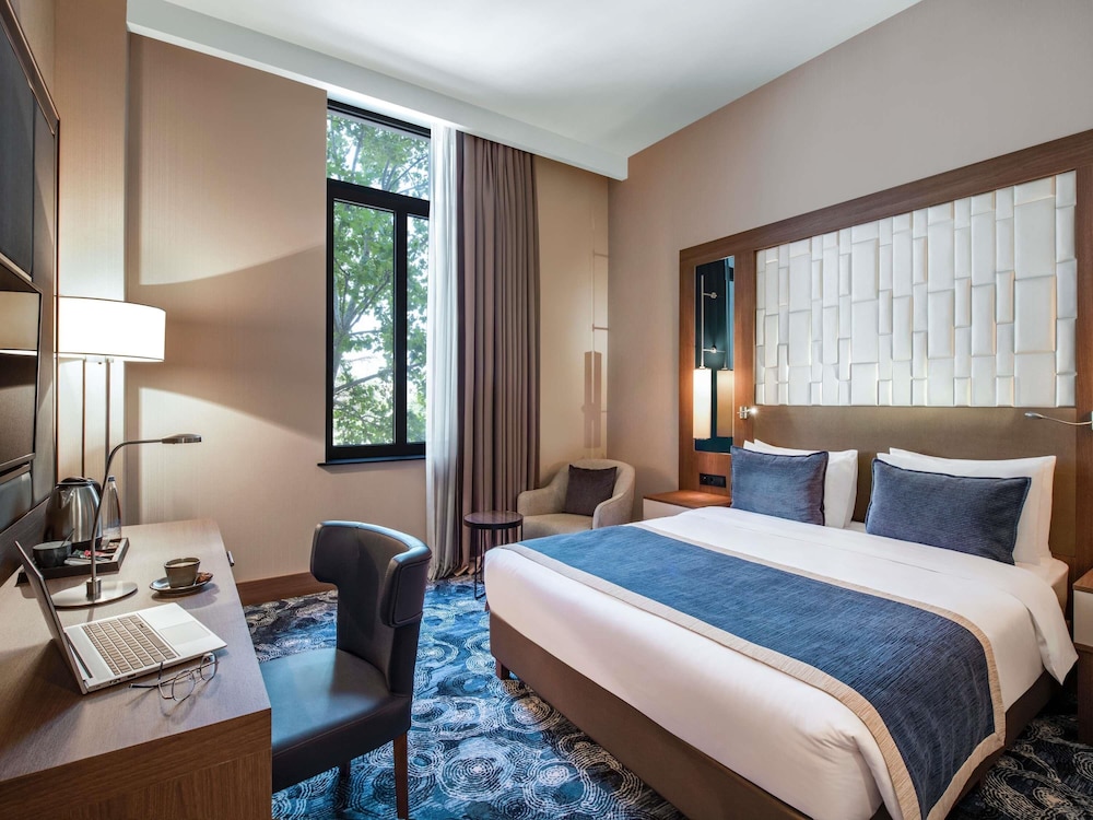Habitación Estándar con 1 cama doble del hotel Tbilisi Philharmonic By Mercure
