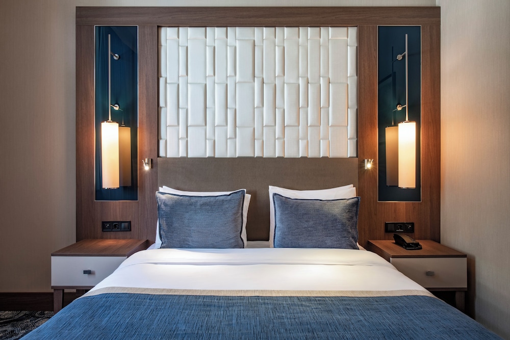 Habitación Estándar con 1 cama doble del hotel Tbilisi Philharmonic By Mercure. Foto 6