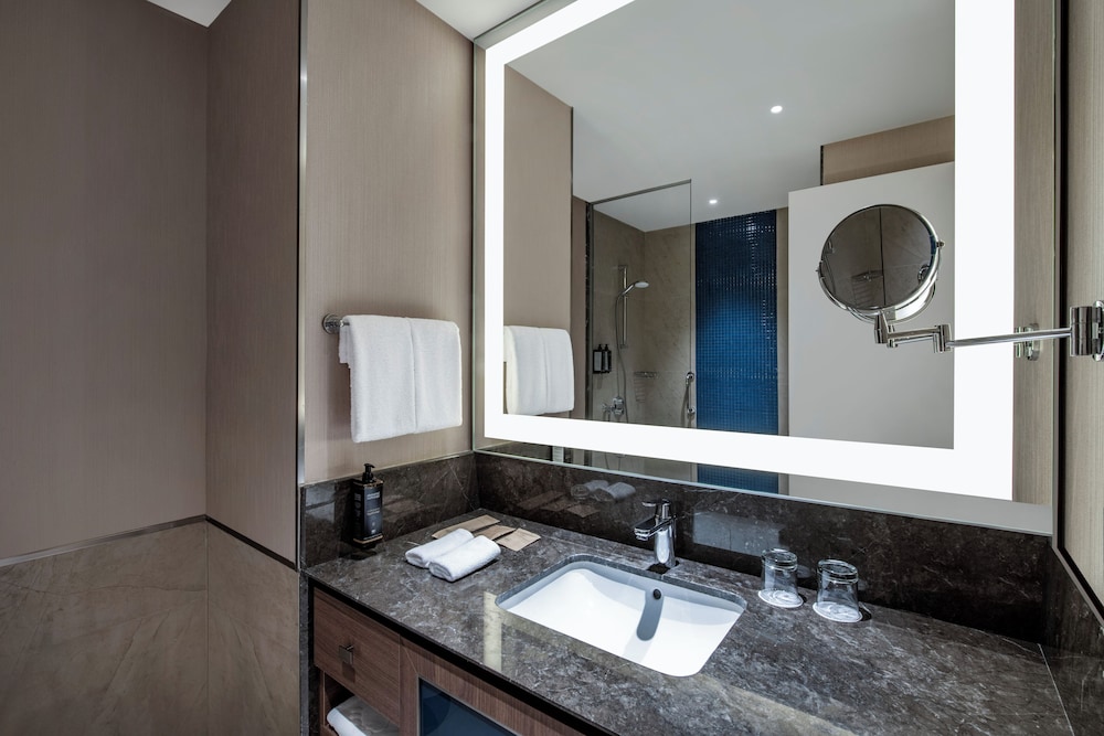 Habitación Estándar con 1 cama doble del hotel Tbilisi Philharmonic By Mercure. Foto 15