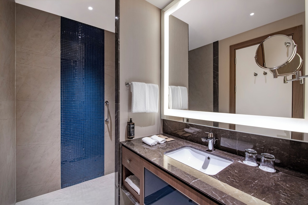 Habitación Deluxe con 1 cama doble del hotel Tbilisi Philharmonic By Mercure. Foto 7