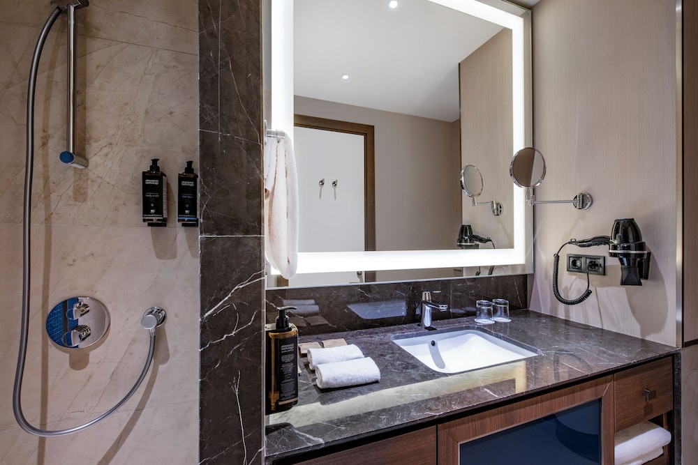 Habitación Deluxe con 1 cama doble del hotel Tbilisi Philharmonic By Mercure. Foto 8
