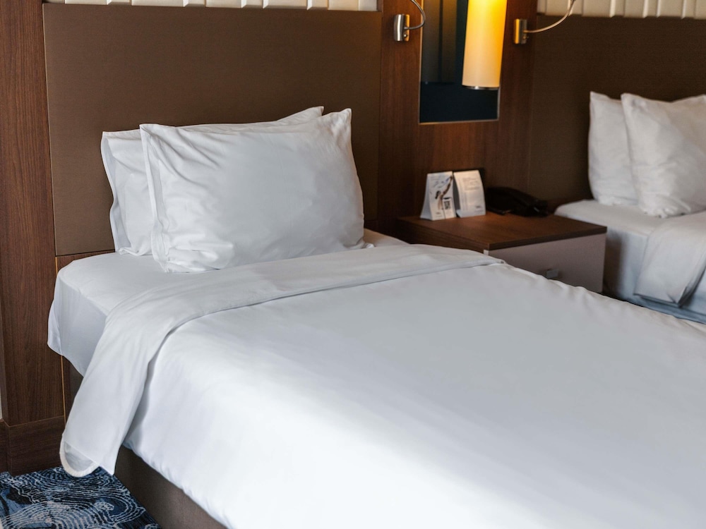 Habitación Deluxe con 1 cama doble del hotel Tbilisi Philharmonic By Mercure. Foto 13