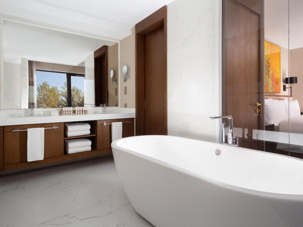 Suite Deluxe, 1 cama de matrimonio grande con sofá cama del hotel Swissôtel Wellness Resort Alatau Almaty. Foto 1