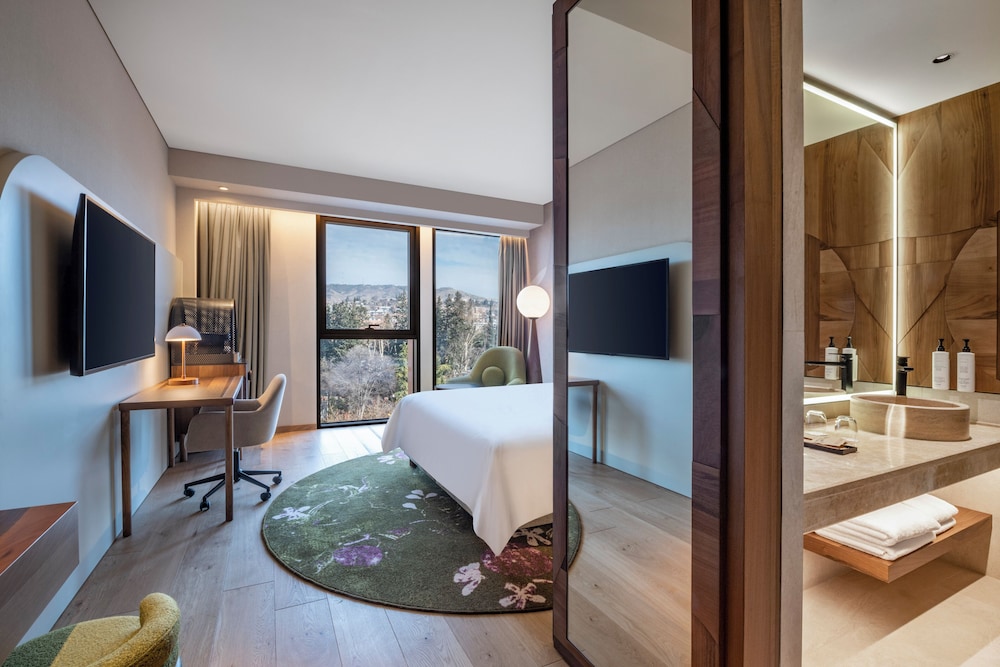 Swiss, Habitación Business, 1 cama doble del hotel Swissôtel Tbilisi. Foto 1
