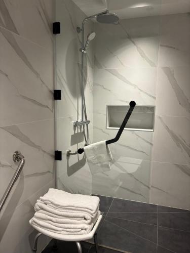 Habitación Individual adaptada para personas con movilidad reducida del hotel Star Champs Elysées. Foto 3