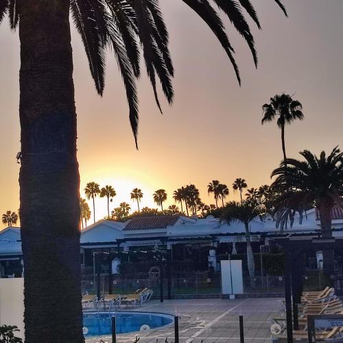 Bungalow con vistas a la piscina del hotel Maspalomas Lago Canary Sunset