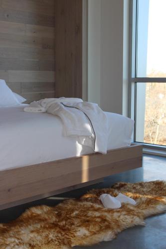 Estudio con cama extragrande del hotel The Preston House and. Foto 12