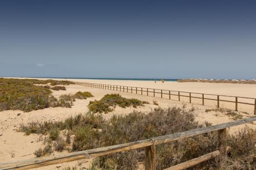 Apartamento Vista Mar Con Cocina Sofá Cama incluido 3 camas individuales Normal del hotel The Real Casa Atlantica Morro Jable. Foto 38
