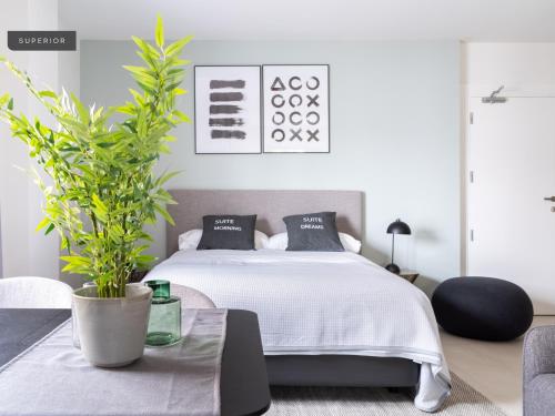 Apartamento Superior del hotel Limehome Sevilla. Foto 2