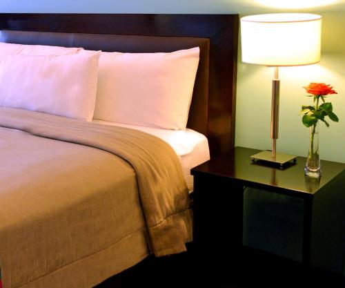 Habitación Doble - 1 cama doble del hotel Rochester Classic. Foto 3