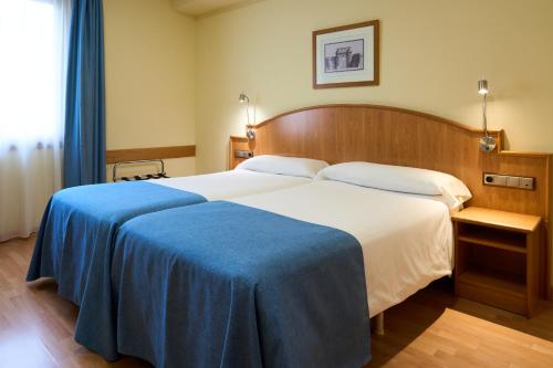 Habitación Doble - 1 o 2 camas del hotel II Castillas Madrid