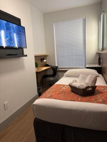 Habitación Individual Estándar con baño compartido del hotel Americana Inn