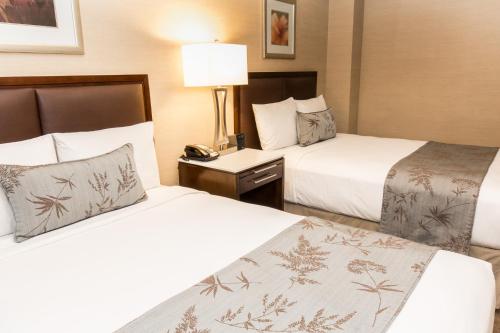 Habitación Doble con 2 camas dobles adaptada para personas con movilidad reducida del hotel Belvedere. Foto 1