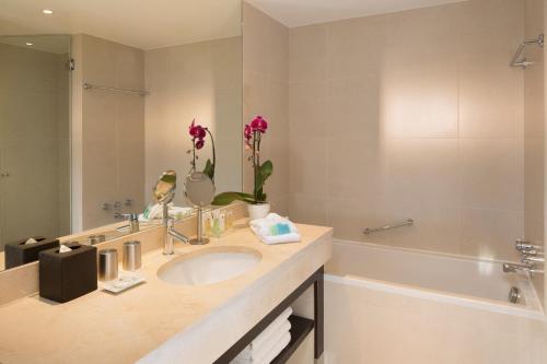 Junior suite Lujo 1 Cama queen Premium Sofá Cama incluido del hotel Garden Elysee. Foto 1