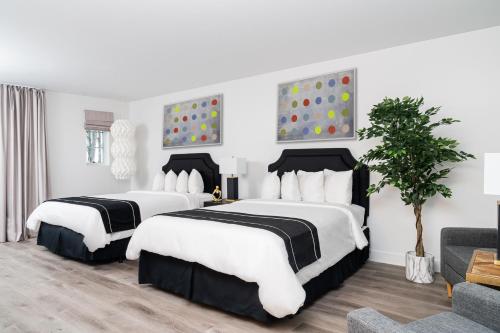Suite con cama grande del hotel Essex House By Clevelander. Foto 4