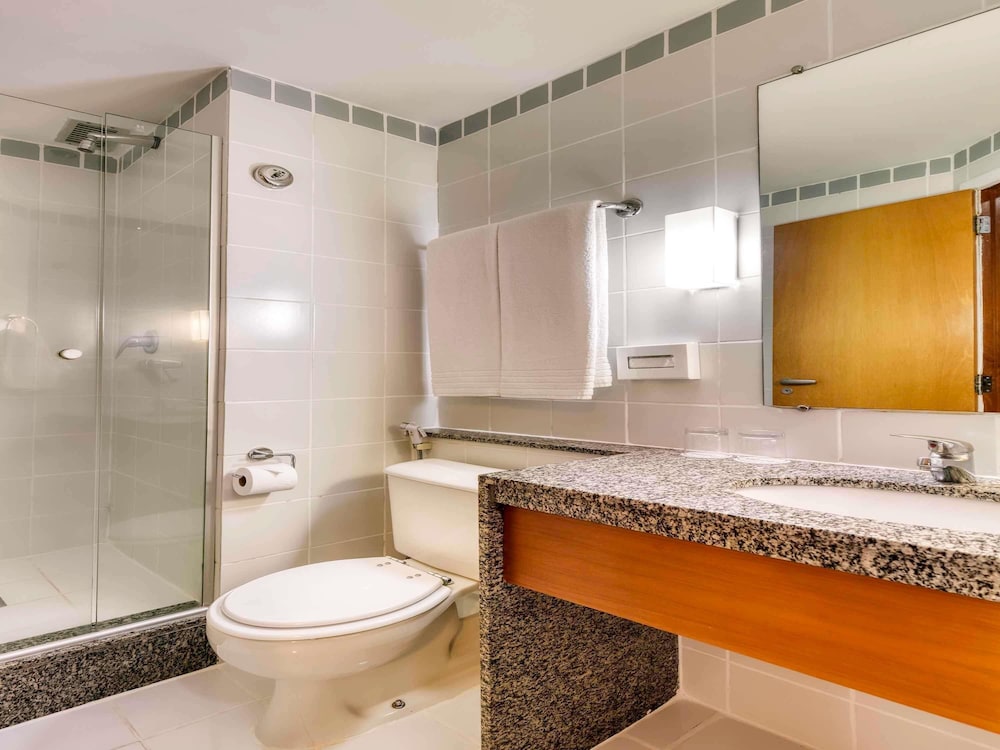 Habitación superior, 1 cama de matrimonio del hotel Mercure Belo Horizonte Vila Da Serra. Foto 4
