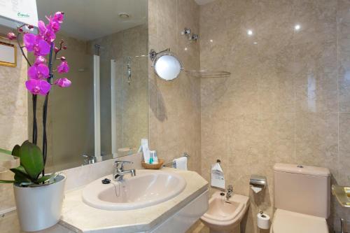 Habitación Individual del hotel Vp Jardín De Tres Cantos. Foto 2