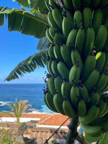 Villa de 1 dormitorio del hotel Hacienda El Terrero. Foto 2