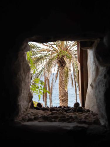 Villa con vistas al jardín del hotel Hacienda El Terrero. Foto 3