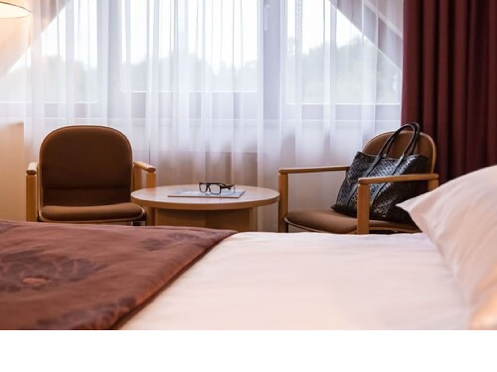 Habitación Estándar con 1 cama individual del hotel Mercure Jelenia Gora. Foto 2