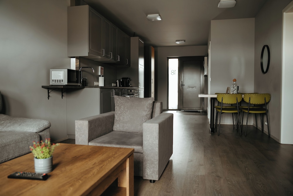 Apartamento con sofá - cama del hotel Vík Apartments. Foto 2