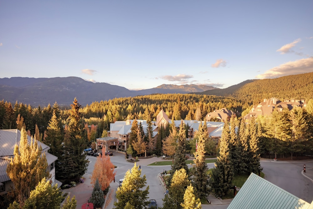 Suite Junior con Vistas al Valle, 1 Cama King + Sofá - cama, 475 sf / 22 sm, Vistas Preferentes del hotel The Fairmont Chateau Whistler