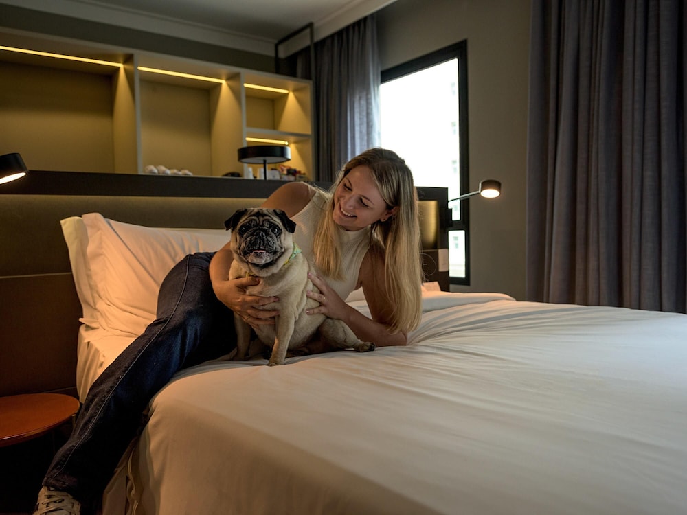 Habitación Superior con cama doble y sofá cama del hotel Novotel Sp Jardins. Foto 1