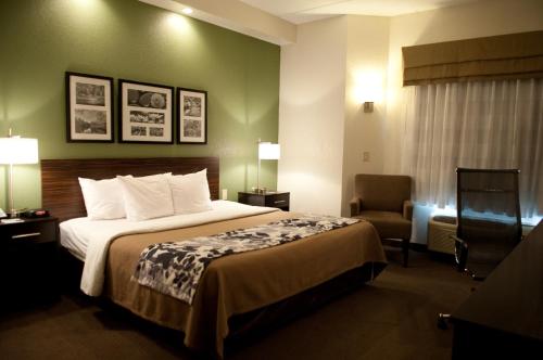 Habitación con cama grande - No fumadores - Adaptada para personas de movilidad reducida (solo bañera) del hotel SLEEP INN y SUITES BUFFALO AIRPORT. Foto 2