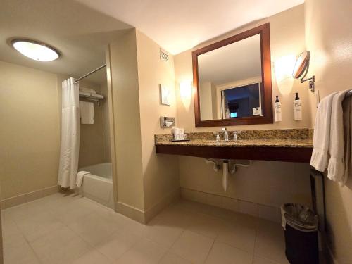 Suite Elite de 1 dormitorio adaptada con cama grande del hotel San Carlos. Foto 2