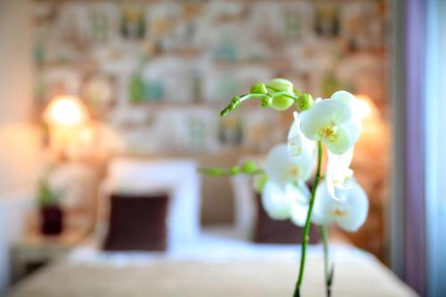 Habitación Doble Clásica - 1 o 2 camas del hotel Relais St. Jacques. Foto 3