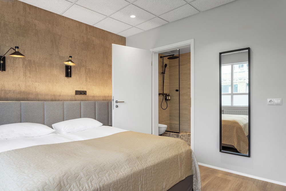Habitación Deluxe doble, baño privado del hotel Alva Brautarholt. Foto 2