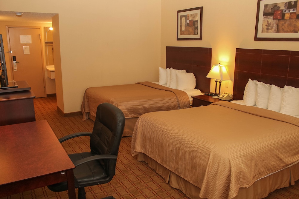 Habitación estándar, 2 camas de matrimonio, no fumadores, planta baja del hotel Buffalo Inn Hospitality
