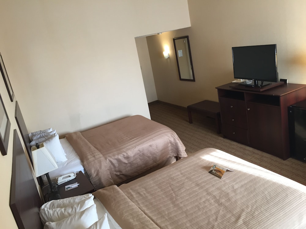 Habitación estándar, 2 camas de matrimonio, no fumadores, planta baja del hotel Buffalo Inn Hospitality. Foto 2