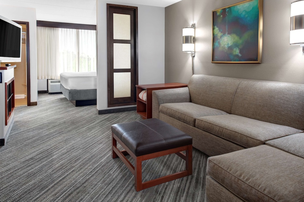 Habitación especial con cama King (con sofá - cama) del hotel Hyatt Place Memphis Primacy Park. Foto 1