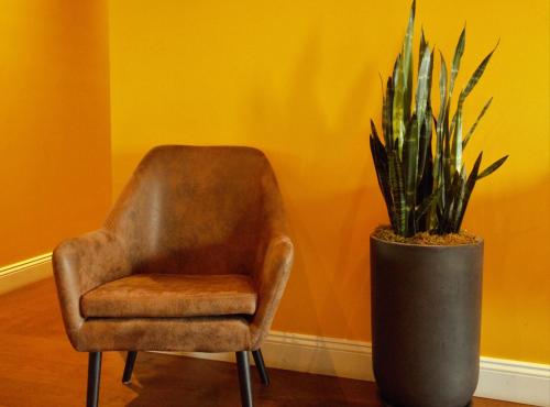 Suite Junior - 2 camas grandes del hotel Sohotel. Foto 5