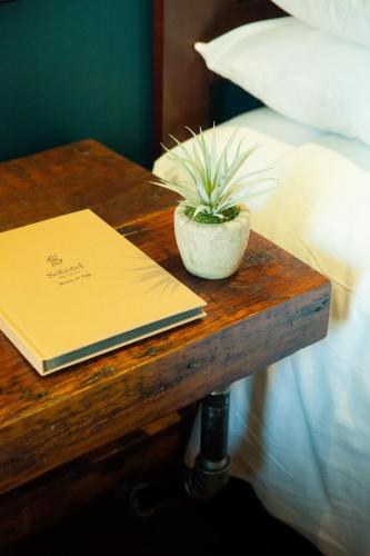 Suite Junior - 2 camas grandes del hotel Sohotel. Foto 1