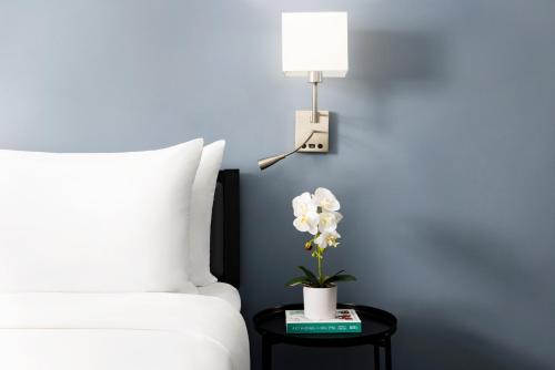 Habitación Deluxe con 1 cama extragrande del hotel OYO Times Square. Foto 2