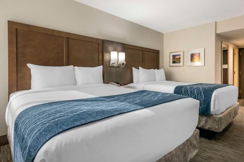 Habitación con 2 camas grandes - No fumadores del hotel Comfort Inn & Suites Downtown Brickell-Port of Miami. Foto 1