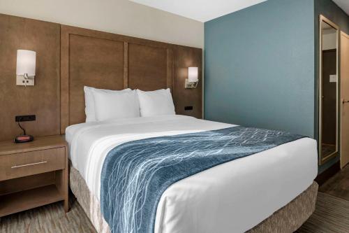 Habitación - Cama grande - Adaptada para personas de movilidad reducida - No fumadores del hotel Comfort Inn & Suites Downtown Brickell-Port of Miami. Foto 1