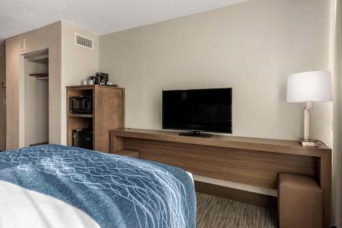 Habitación - Cama grande - Adaptada para personas de movilidad reducida - No fumadores del hotel Comfort Inn & Suites Downtown Brickell-Port of Miami. Foto 2