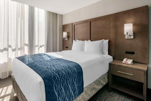 Habitación - No fumadores - Cama grande del hotel Comfort Inn & Suites Downtown Brickell-Port of Miami