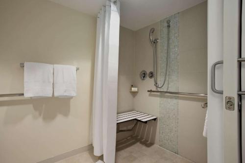 Habitación con cama extragrande y ducha a ras de suelo - Adaptada para personas con movilidad reducida del hotel Hilton Miami Airport Blue Lagoon. Foto 3