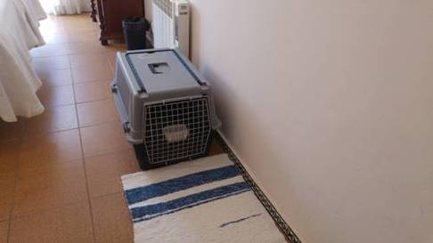 Habitación Doble Mascotas Permitidas del hotel Campomar Playa