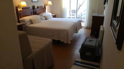 Habitación Doble Mascotas Permitidas del hotel Campomar Playa. Foto 1