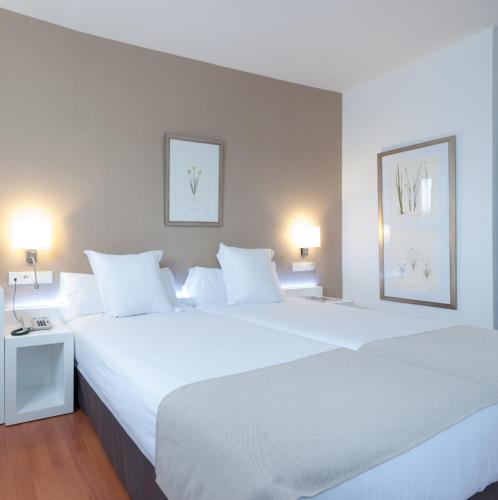 Habitación Doble Confort - 1 o 2 camas del hotel Alcazar. Foto 6