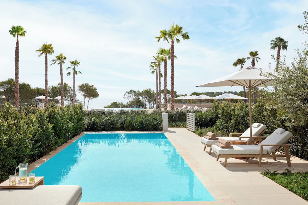 Suite Deluxe, 1 habitación, piscina privada, vistas al jardín del hotel Ikos Porto Petro. Foto 6