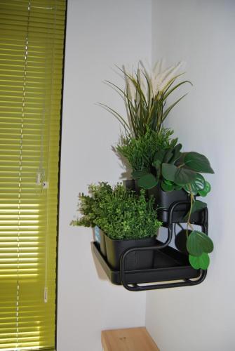 One-Bedroom Apartment del hotel Casa el Majorero. Foto 21