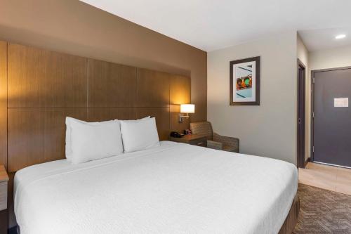 Habitación con cama extragrande - Adaptada para personas de movilidad reducida del hotel Best Western Brooklyn-Coney Island Inn. Foto 2